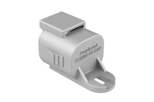 ATM06-4S-CAP